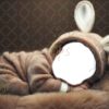 brown-bunny-7