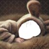 brown-bunny-9