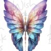 faeries-wings-1