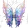 faeries-wings-12