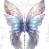 faeries-wings-2