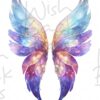 faeries-wings-3