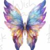 faeries-wings-4