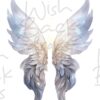 faeries-wings-5