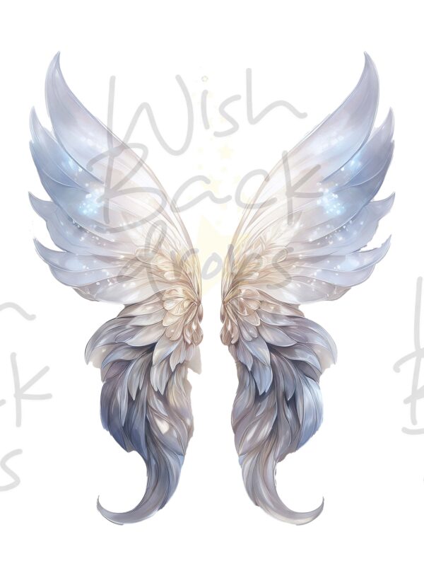 faeries-wings-5