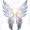 faeries-wings-6
