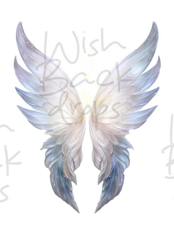 faeries-wings-6