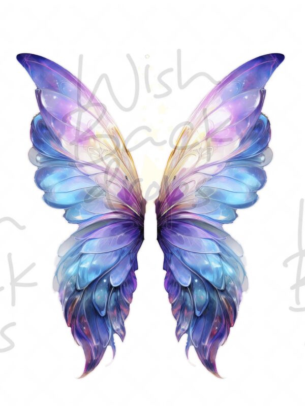 faeries-wings-9