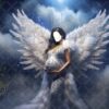fantasy dress-wings-1