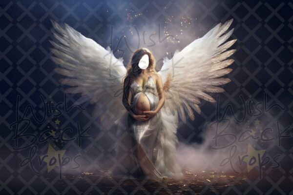 fantasy dress-wings-2