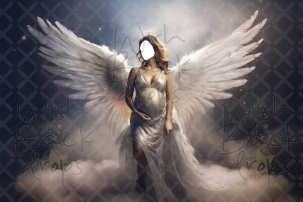fantasy dress-wings-8