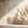 pampas-3