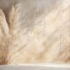 pampas-5