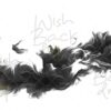 smoke-30