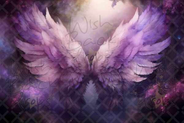 violet-wings-4