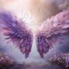 violet-wings-5