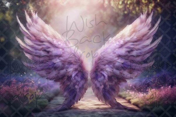 violet-wings-6