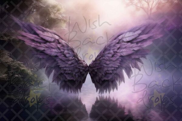 violet-wings-7