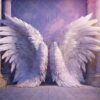 white-wings-10